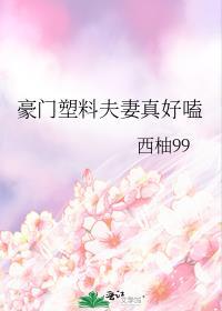 豪门塑料夫妇93