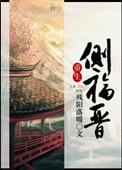 重生之侧福晋之逆命