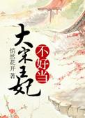 大宋嫔妃电视剧