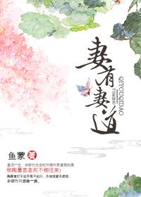 妻有妻术书评