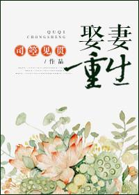 重生娶母