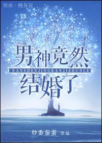 男神都已嫁作品集