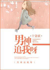 男神追妻指南免费阅读无广告
