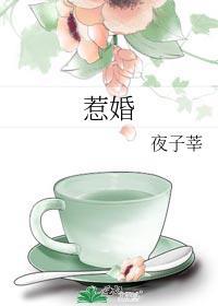 惹婚晋江
