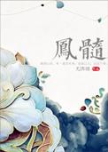 凤髓实体书番外