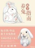 新手养兔指南百度