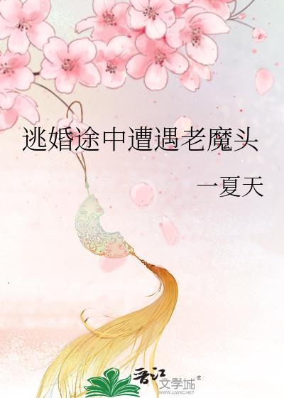 逃婚的中途