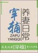 宰辅养妻日常 倪知县