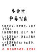 小金蛋护养指南吕迟的弟弟的文叫什么