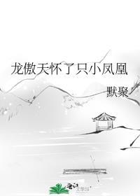 龙傲天怀了只小凤凰免费txt