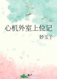 心机外室上位记笔趣阁妙玉子