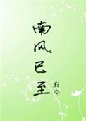 南风已至片段摘抄