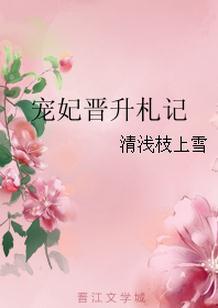 宠妃晋升札记 清浅枝上雪讲了什么