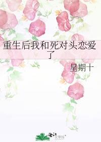 重生后我和死对头组cp