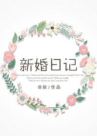 新婚日记txt