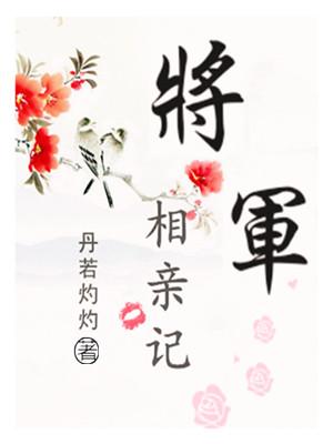 将军抢亲记无弹窗