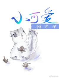 小可爱儿歌