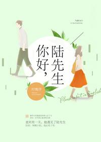 你好陆先生时槐序全文番外