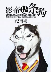 影帝是只喵免费全文阅读