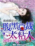 暖情入骨腹黑总裁别宠我