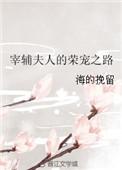 宰辅夫人的荣宠之路百度