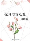 你只能喜欢我完整版