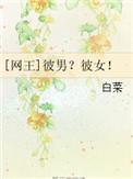 网王彼男?彼女!