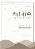 雪山的兔子