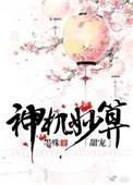 神机妙算免费无弹窗阅读