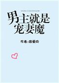男主宠妻狂魔的