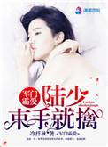 骄妻怀里来