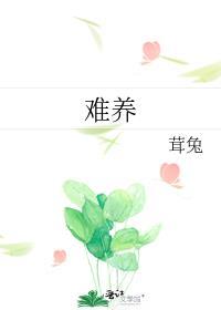 难养的花有哪些