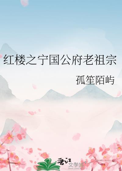 红楼之宁国新主