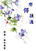 奈何肤浅讲什么