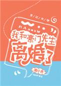 我和豪门老公离婚了txt