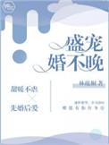 盛宠婚不晚txt林疏桐