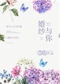 婚纱与你艾鱼全文免费阅读