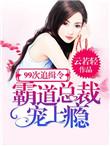 99次逃婚偏执总裁追逃妻