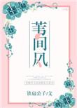 苇间风免费阅读笔趣阁