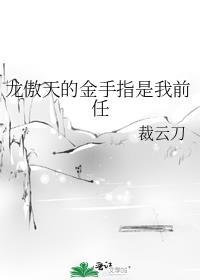 龙傲天前女友
