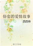 俗套的爱情故事西西特讲什么