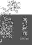 南城有雨说的什么