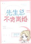先生总不肯离婚讲了什么