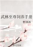 武林至尊的标配
