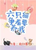 六只猫争着宠我