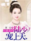 陆少闪婚新妻