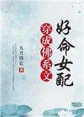 穿成佛系文好命女配格格党