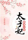 太子妃娇宠日常无防盗