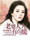 老婆大人有点暖顾翊宸