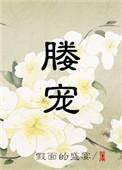 媵宠 假面的盛宴